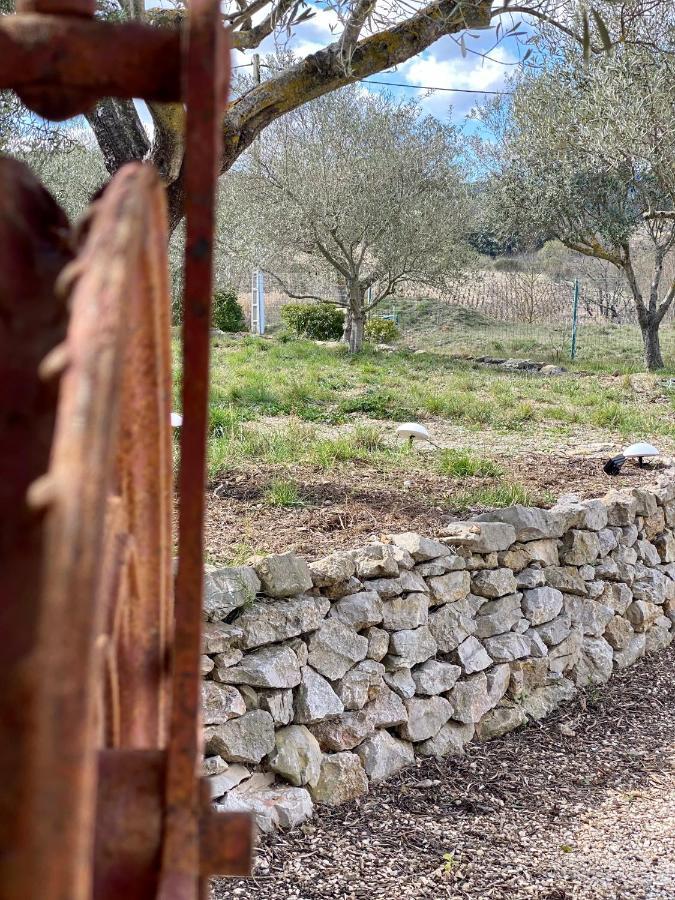 Gite Romarin Avec Spa Saint-Jean-de-Barrou Esterno foto